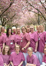 Detailseite öffnen: Team Hebammen Portrait: Foto Team Hebammen