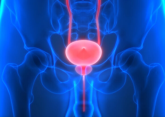 Behandlungsschwerpunkt Rekonstruktive Urologie