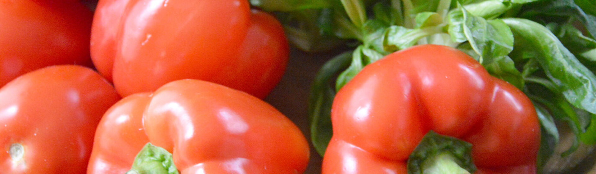 Ein Teller mit frischem Gemüse.