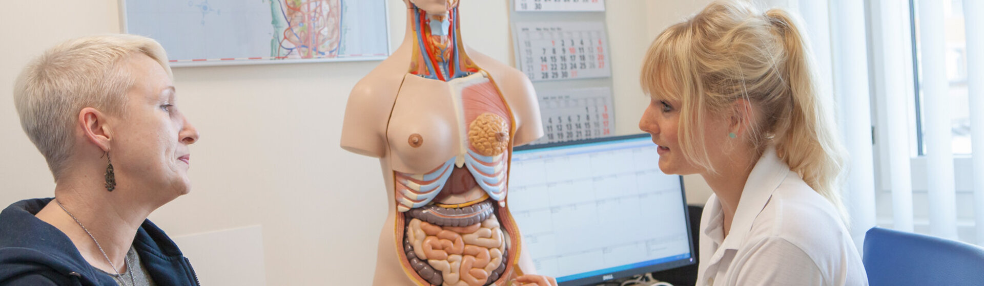 Beratungsgespräch anhand eines Körpermodels zwischen Ärztin und Patientin im Behandlungszimmer Beratungsgespräch anhand eines Körpermodels zwischen Ärztin und Patientin im Behandlungszimmer