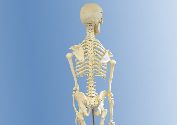 Behandlungsschwerpunkt Orthopädie Behandlungsschwerpunkt Orthopädie