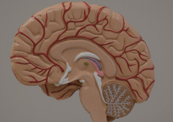 Privatambulanz Privatambulanz